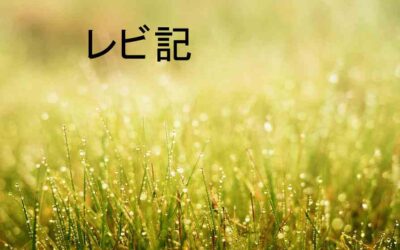真実の証人