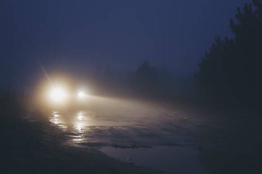 夜霧の山道で